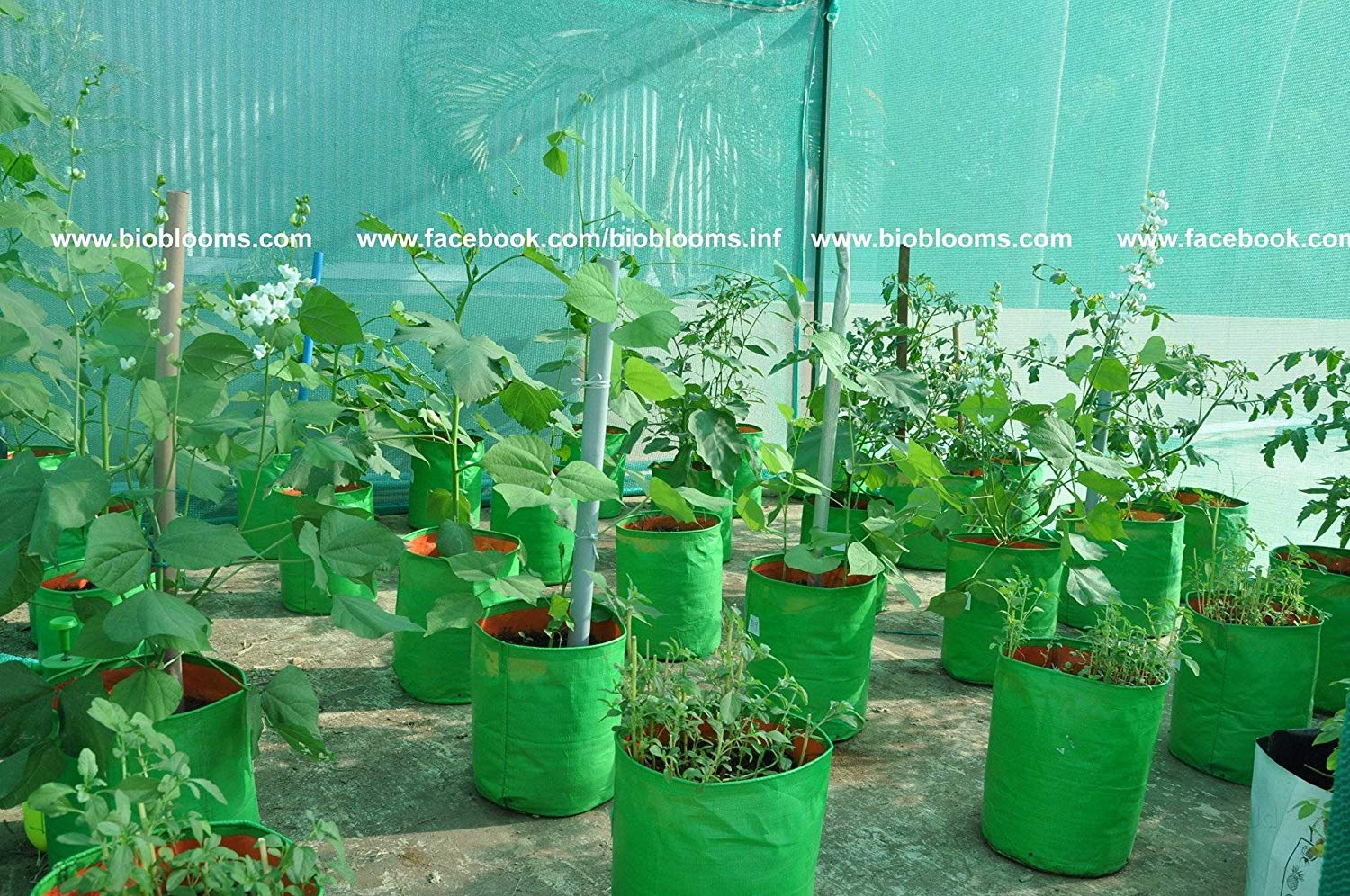 Amazon.com : JERIA 12-Pack 5 Gallon, Vegetable/Flower/Plant Grow Bags,  Aeration Fabric Pots with Handles (Black), Come with 12 Pcs Plant Labels :  Patio, Lawn & Garden