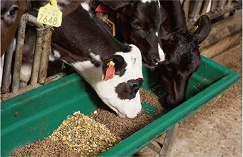 Cow Feed/Cattle Feed/Milking Cow Food Pellet 1 sack / 50KG